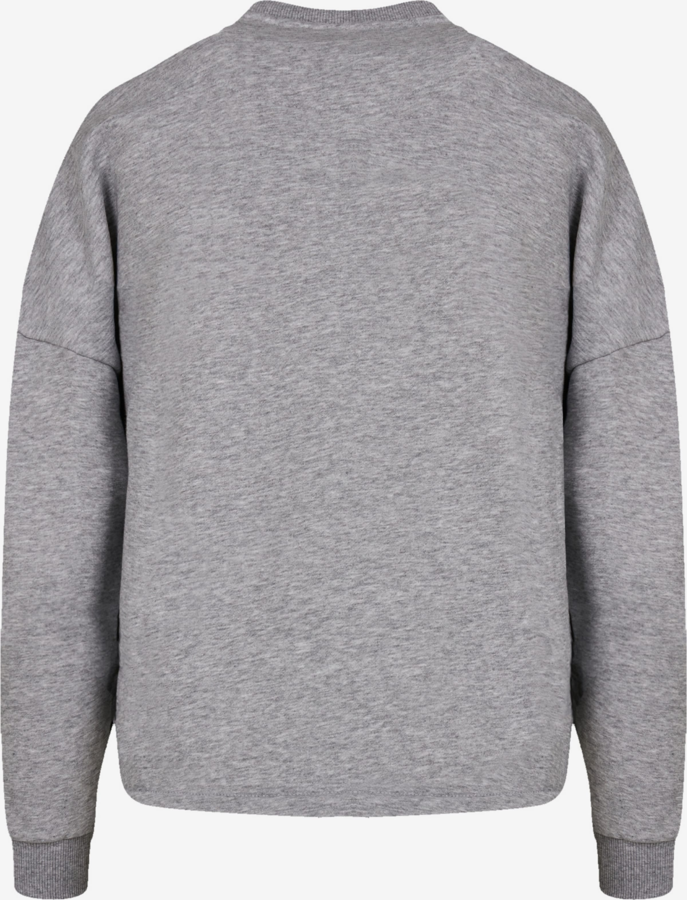 F4NT4STIC Sweatshirt \'Honolulu\' in Mottled Grey | ABOUT YOU