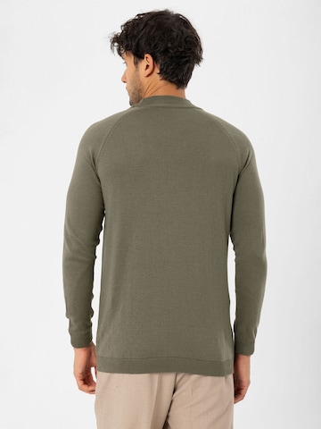 Dandalo Pullover in Grün