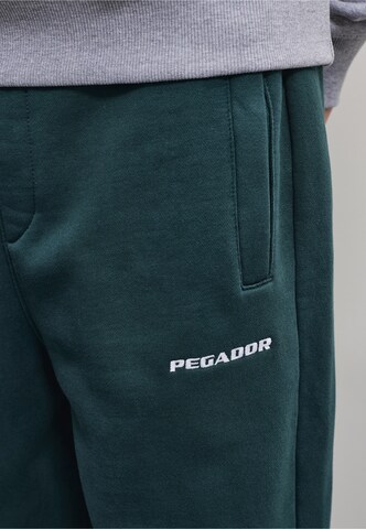 Loosefit Pantalon Pegador en vert