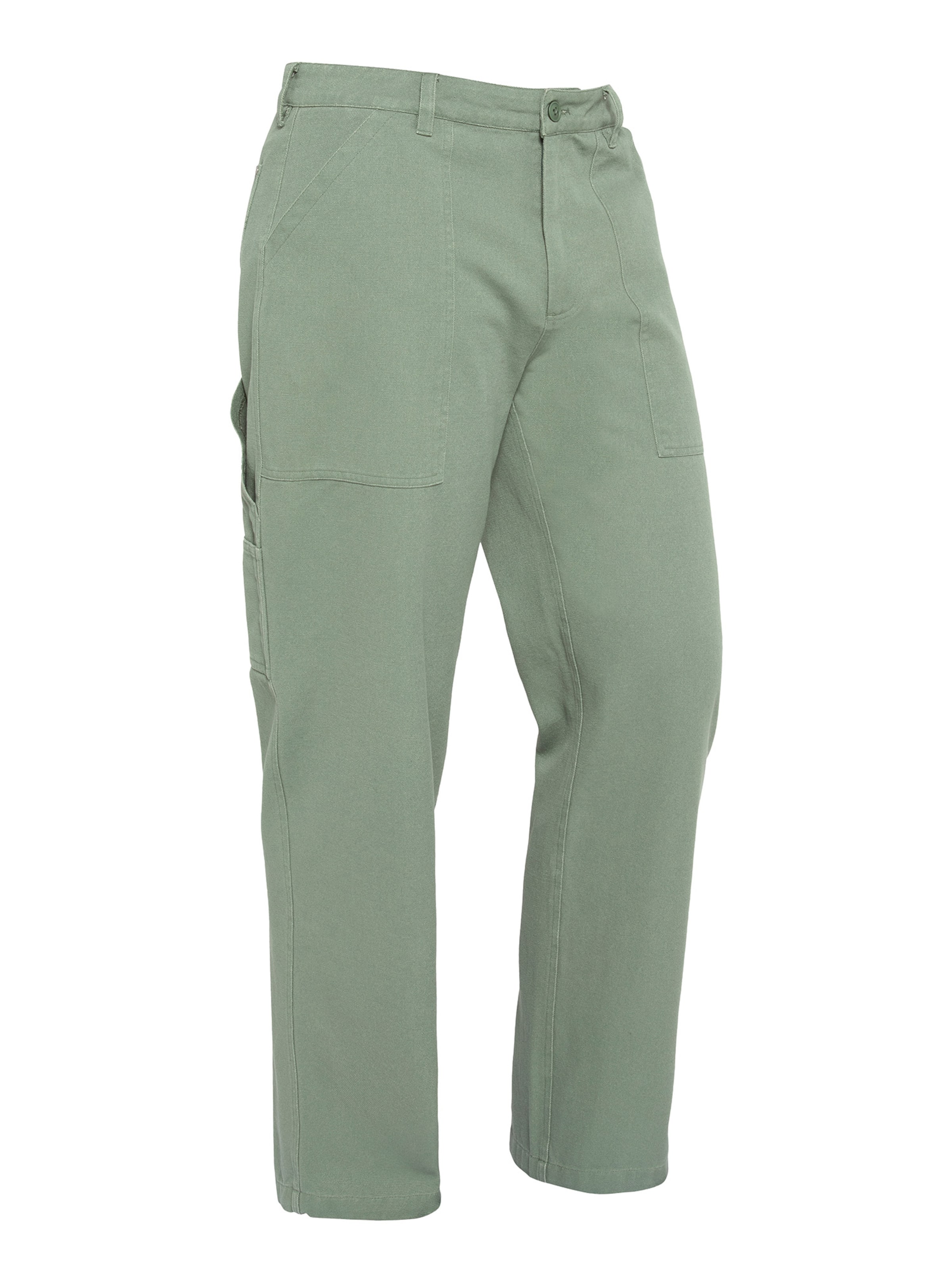 Schott NYC Regular Pants in Green