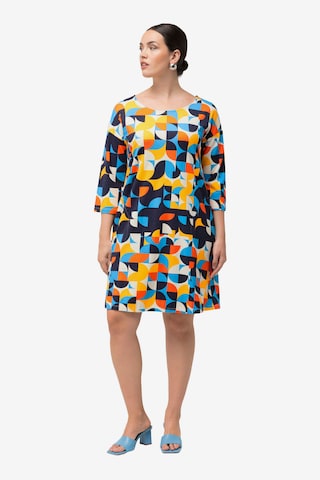 Ulla Popken Dress in Mixed colors