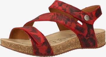 JOSEF SEIBEL Strap Sandals in Red: front