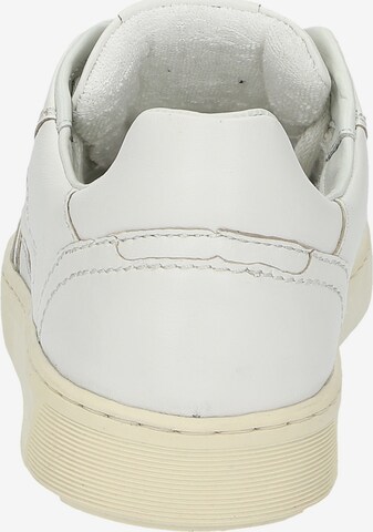 SIOUX Sneaker 'Tedroso-700' in Silber