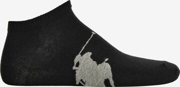 Polo Ralph Lauren Socks in Mixed colours