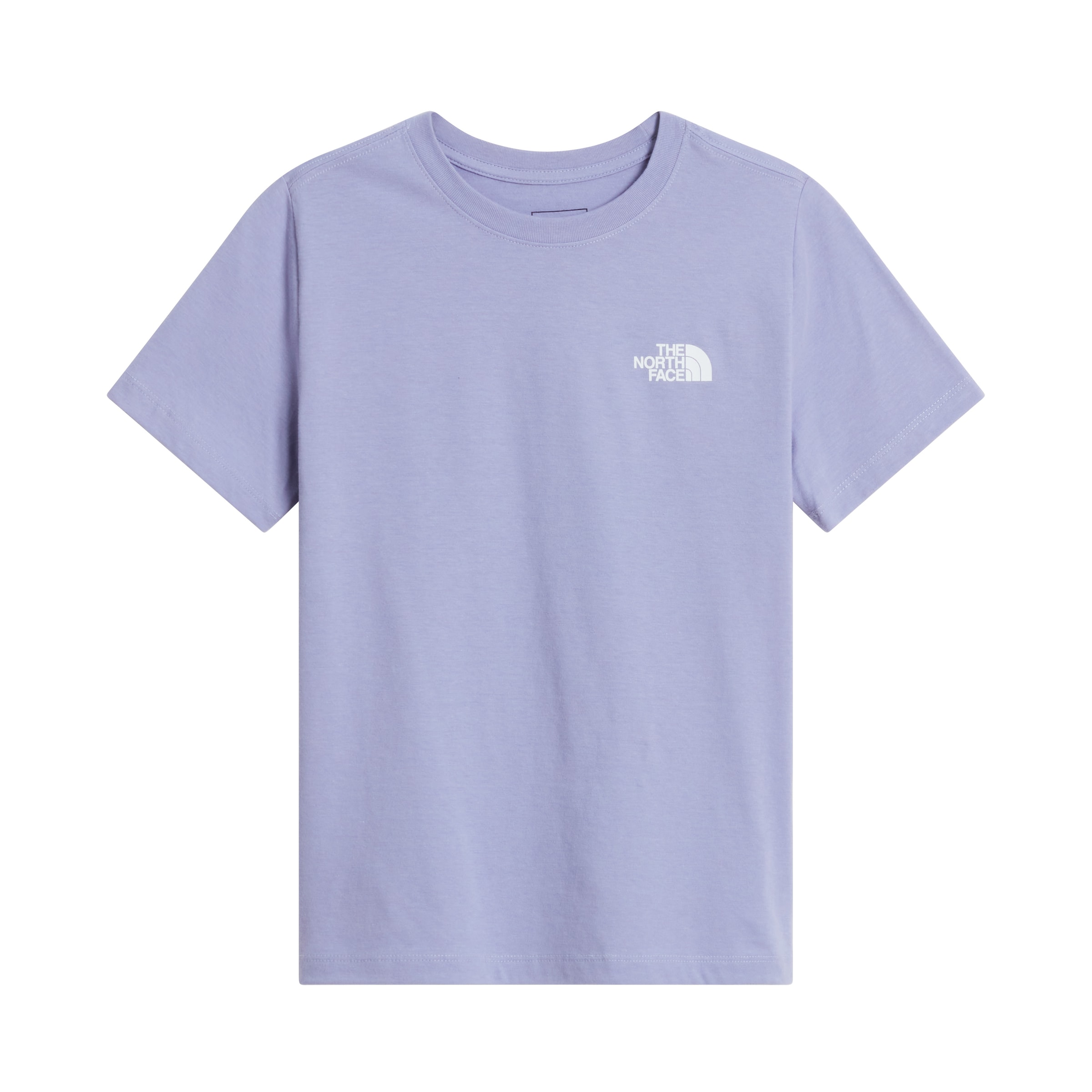 THE NORTH FACE Shirt in Purple: front