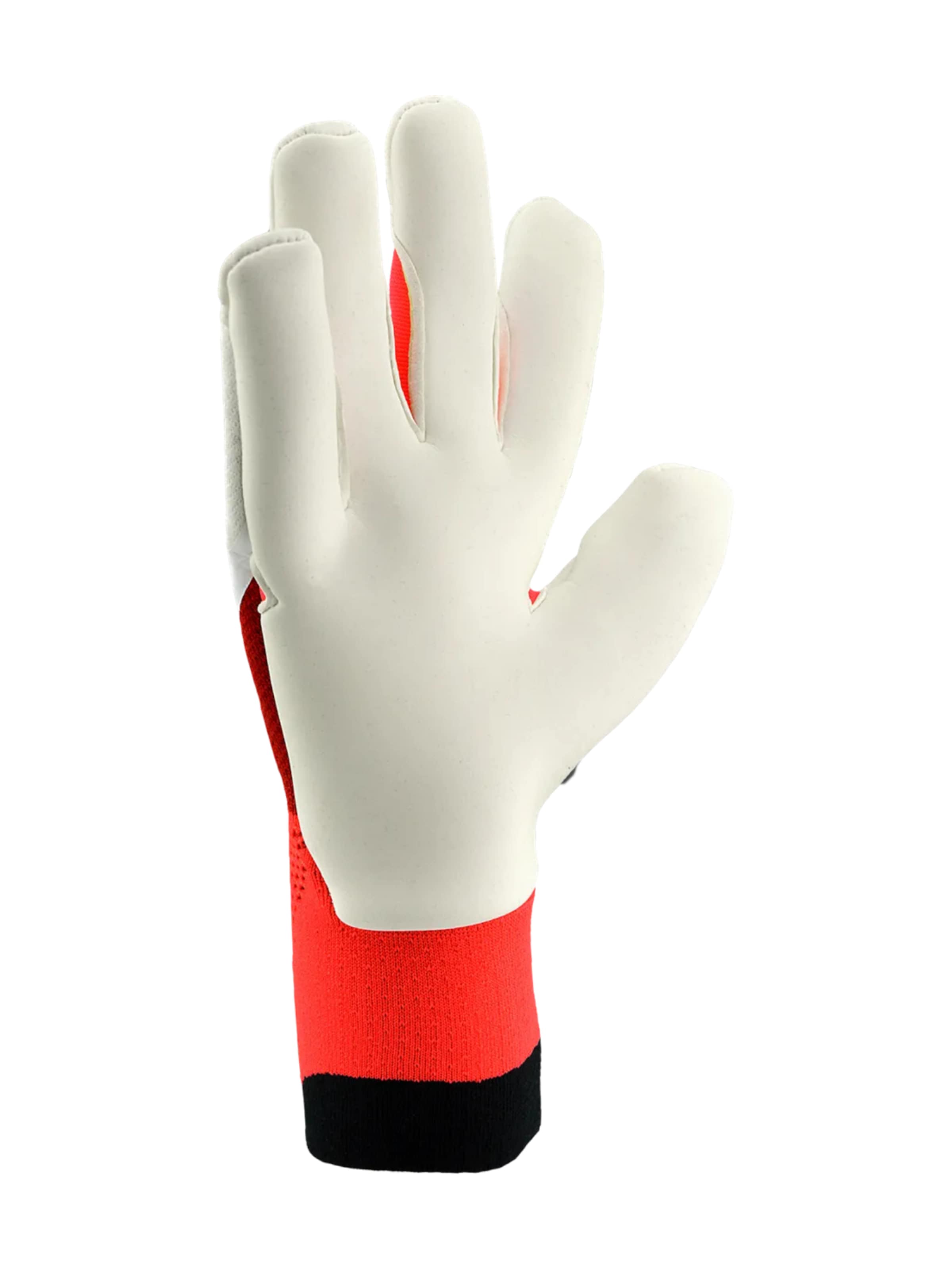 ADIDAS PERFORMANCE Sporthandschuhe 'Predator Pro Hybrid Born for Goals'‌‌‌‌‌‌‌ in Weiß