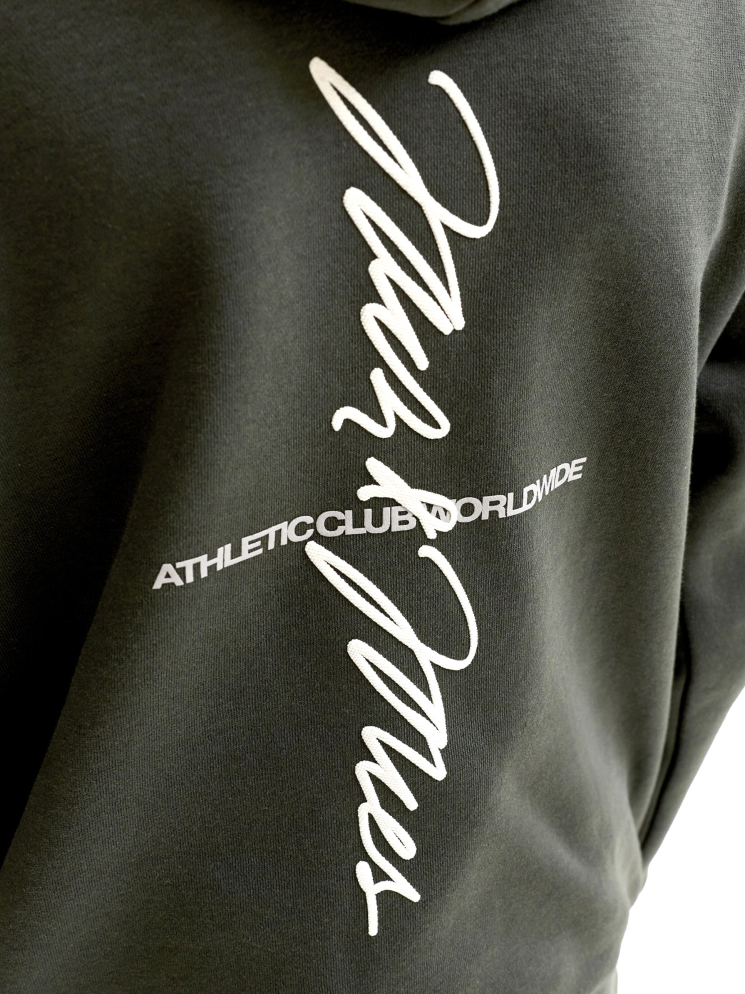 Jack & Jones Junior Sweatshirt 'JCOCLUB' in Green