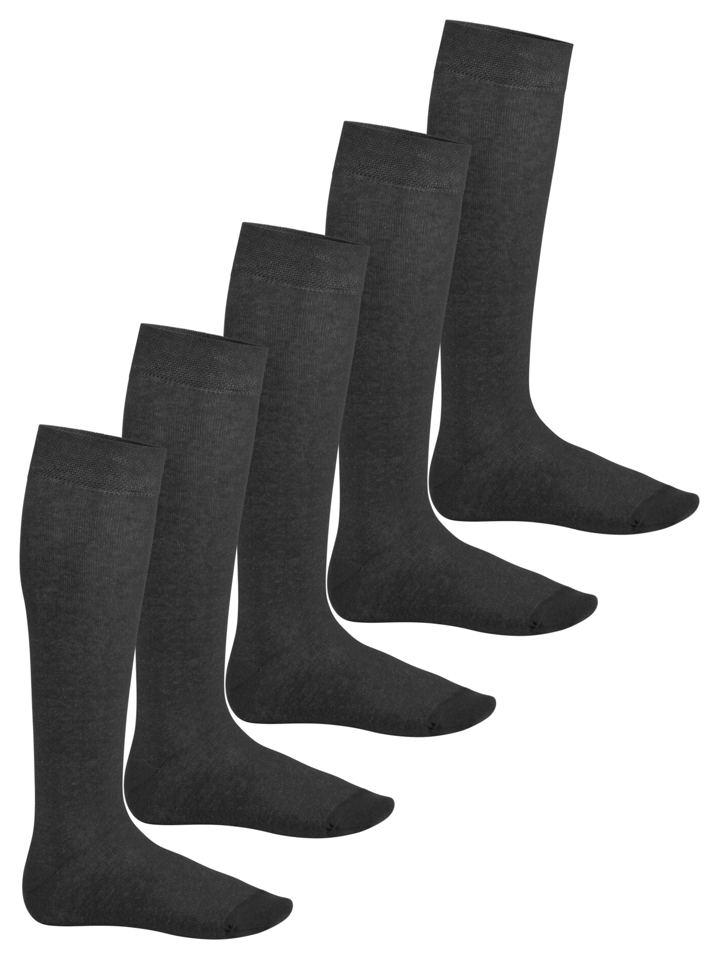 footstar Kniestrümpfe 'EVERYDAY!'‌‌‌‌‌‌‌‌‌‌ in Grau: Vorderseite
