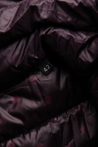 BONITA Jacket & Coat in XL in Purple