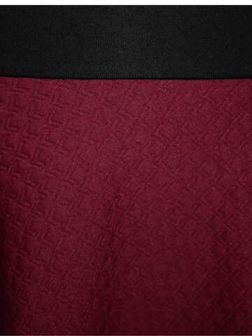 dunkle design Skirt in Red