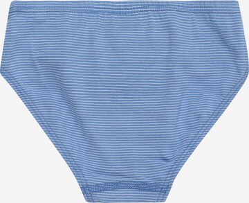 SCHIESSER Underpants in Mixed colors