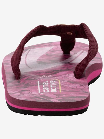CAMEL ACTIVE T-Bar Sandals in Pink