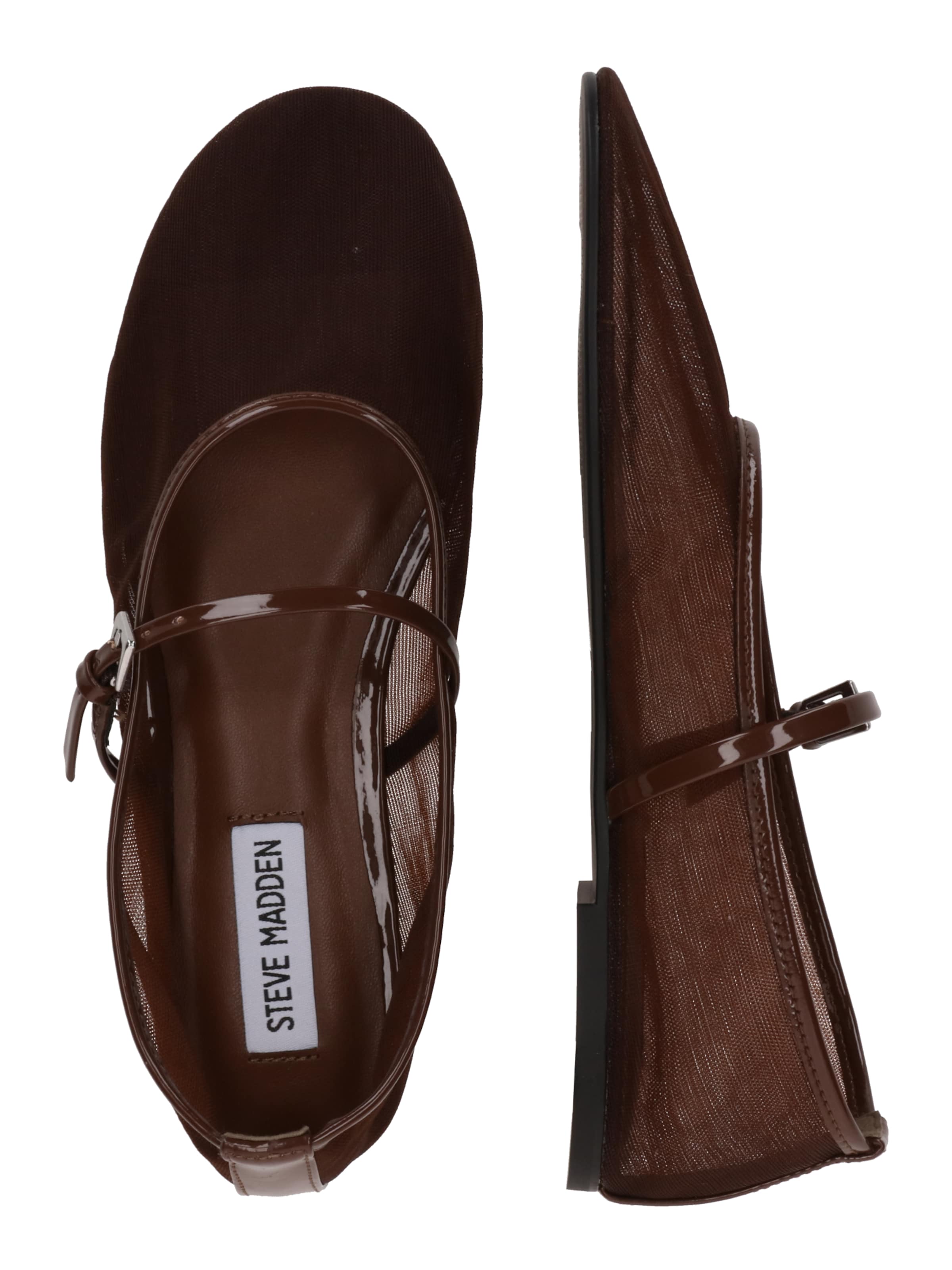 STEVE MADDEN Nauhaballerina 'Mash' värissä ruskea