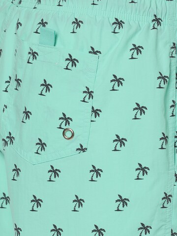 Nils Sundström Board Shorts in Green
