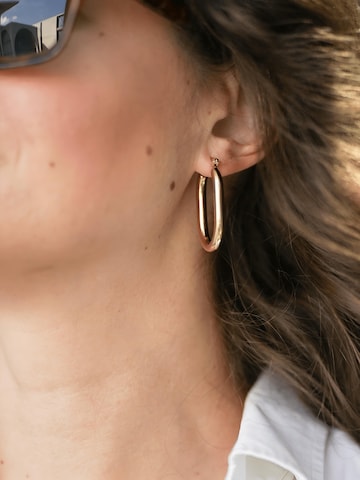 La Moda Me Ohrringe 'Aris' in Gold