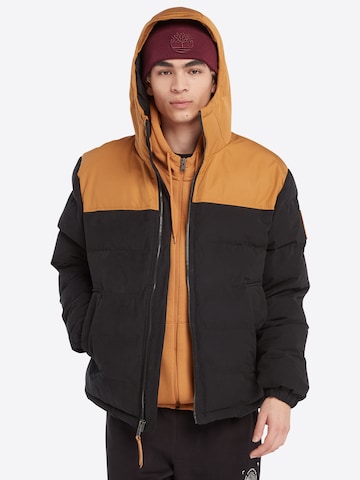 TIMBERLAND Winter jacket 'Welch Mountain' in Brown