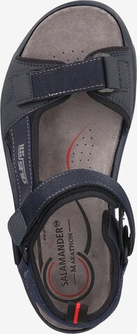 SALAMANDER Hiking Sandals 'Dino' in Blue