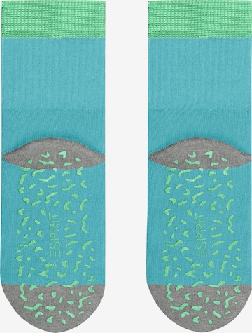 ESPRIT Socken 'Cozy Memphis' in Blau: Vorderseite