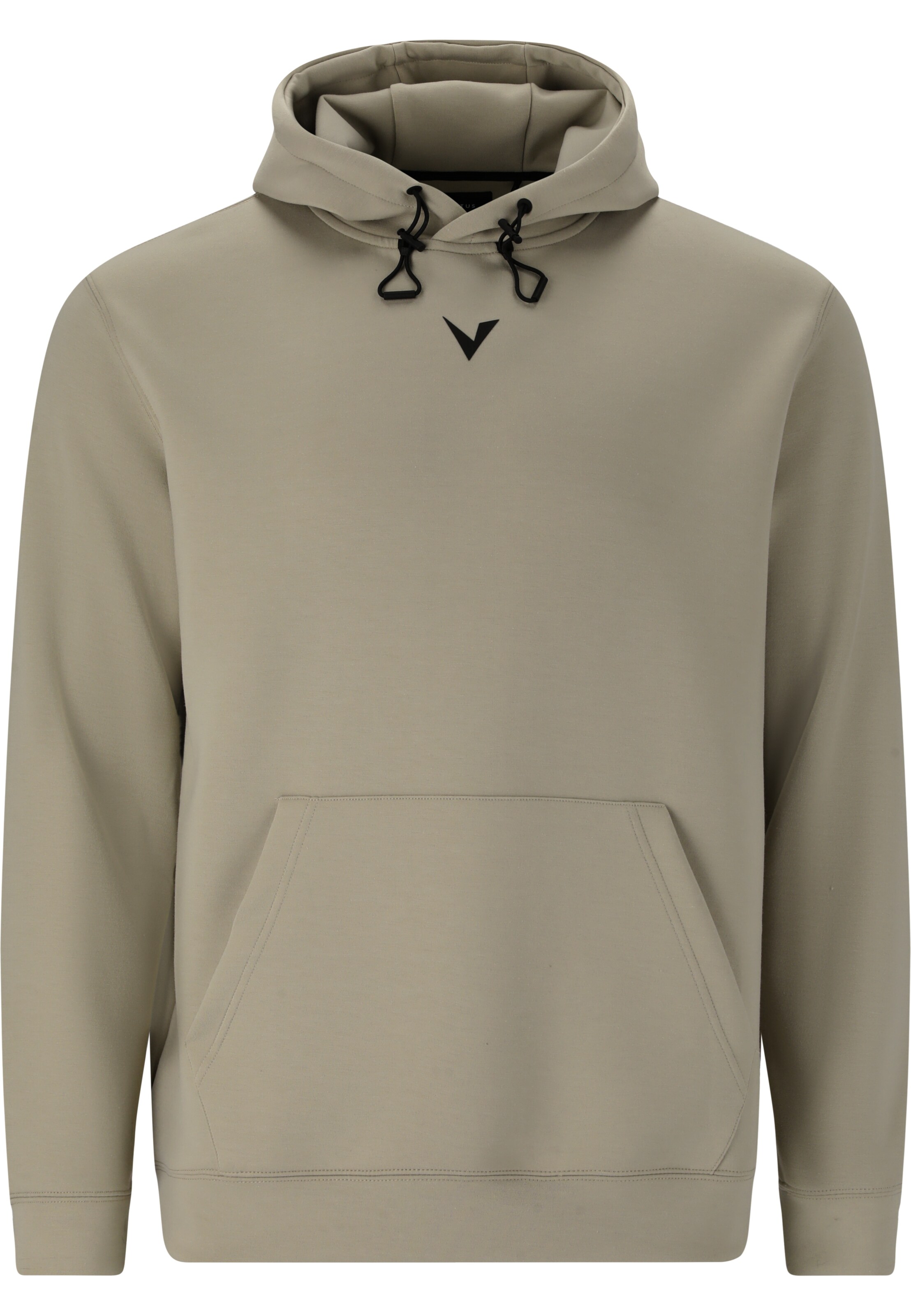 Virtus Sports sweatshirt 'Taro' in Green: front