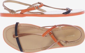 GANT Sandals & High-Heeled Sandals in 40 in Brown: front