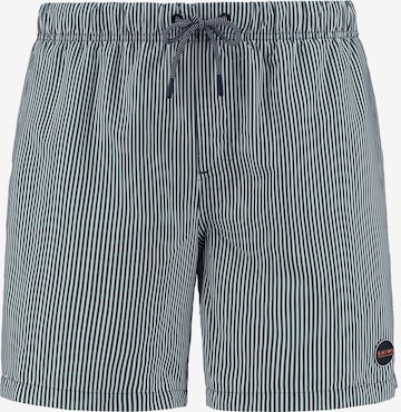 Pantaloncini da bagno di Shiwi in verde: frontale