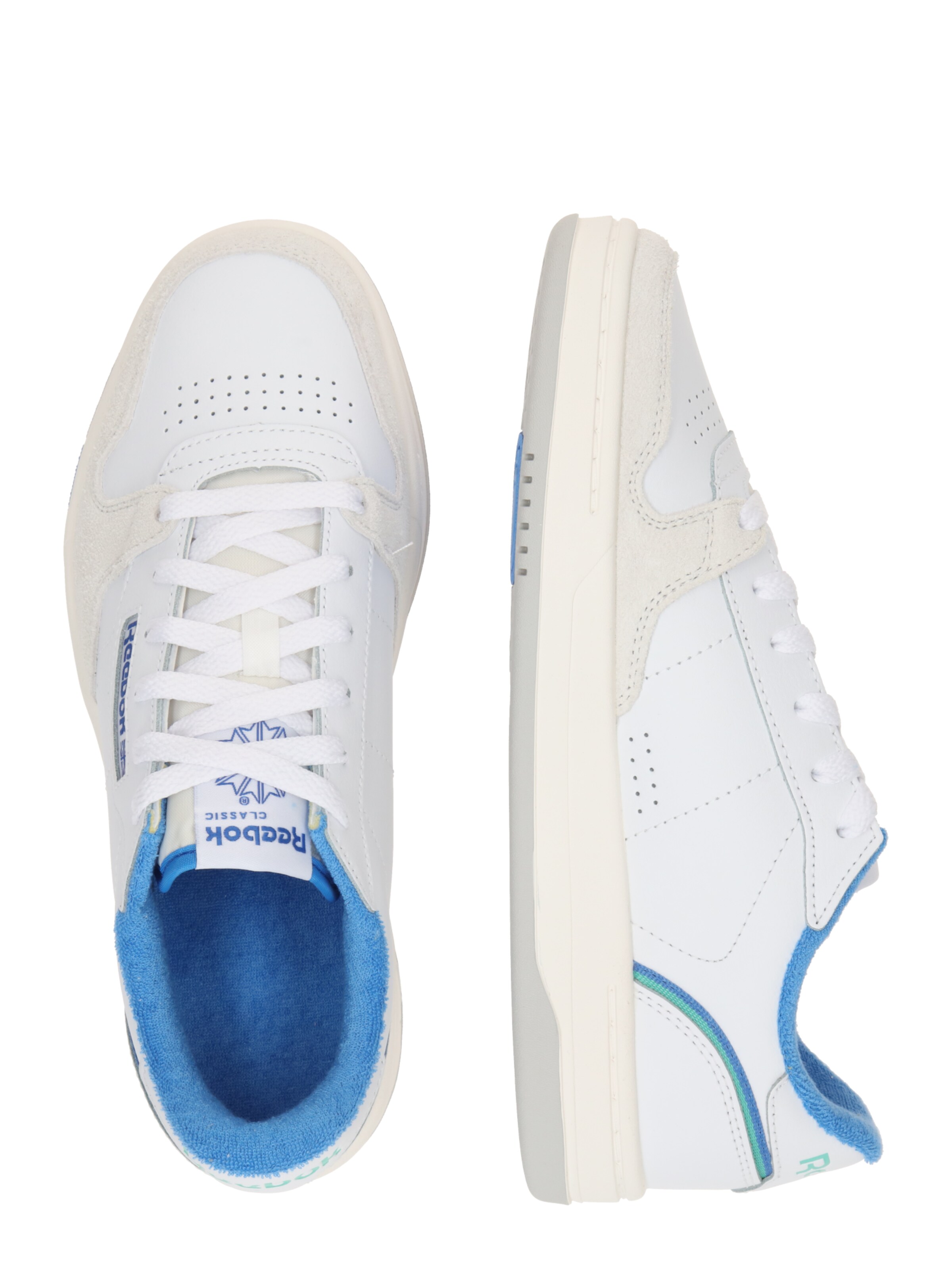 Reebok Låg sneaker 'PHASE COURT' i vit