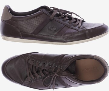 LACOSTE Sneakers & Trainers in 47 in Brown: front