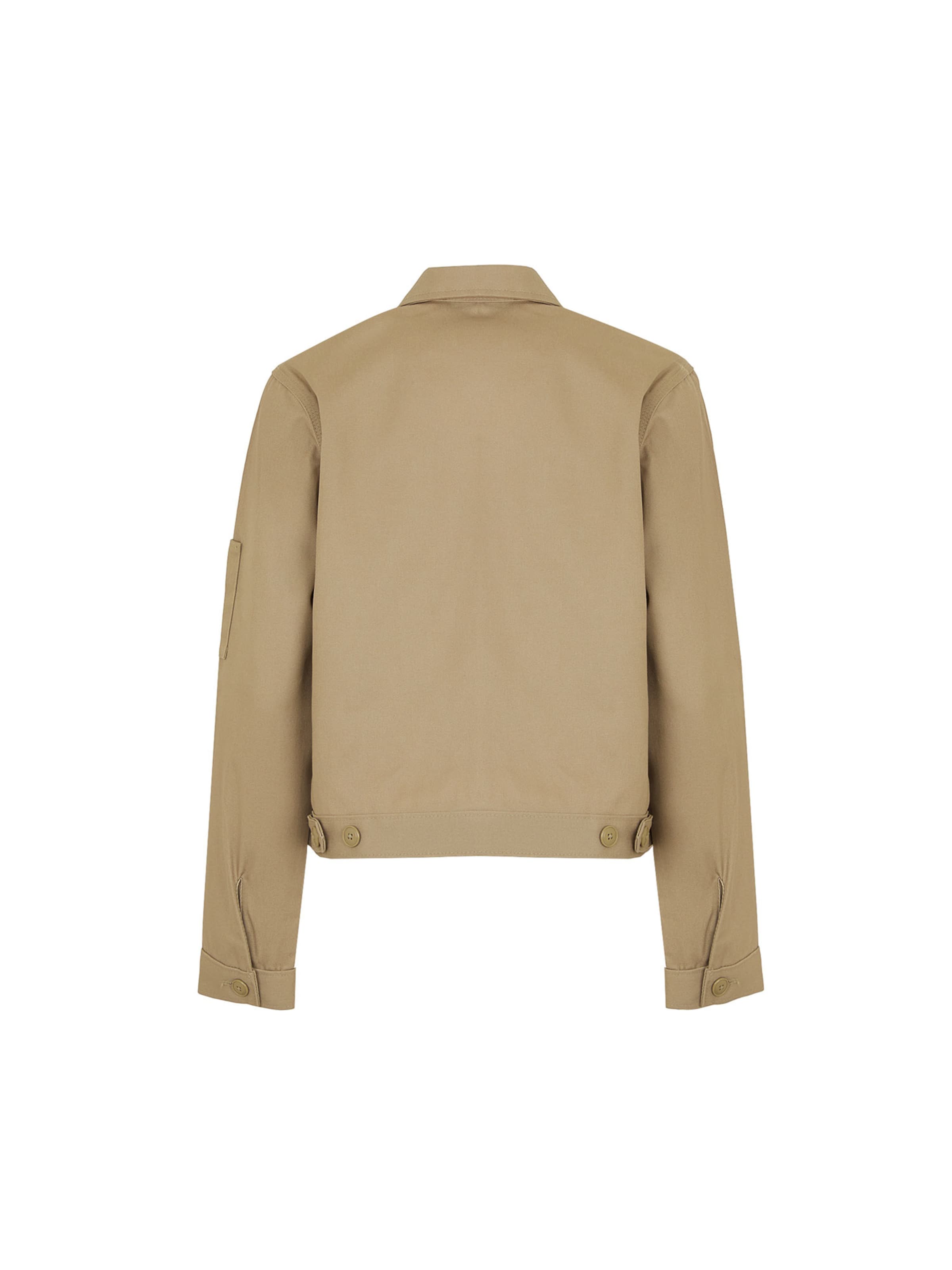 DICKIES Kevad-sügisjope 'EISENHOWER', värv pruun