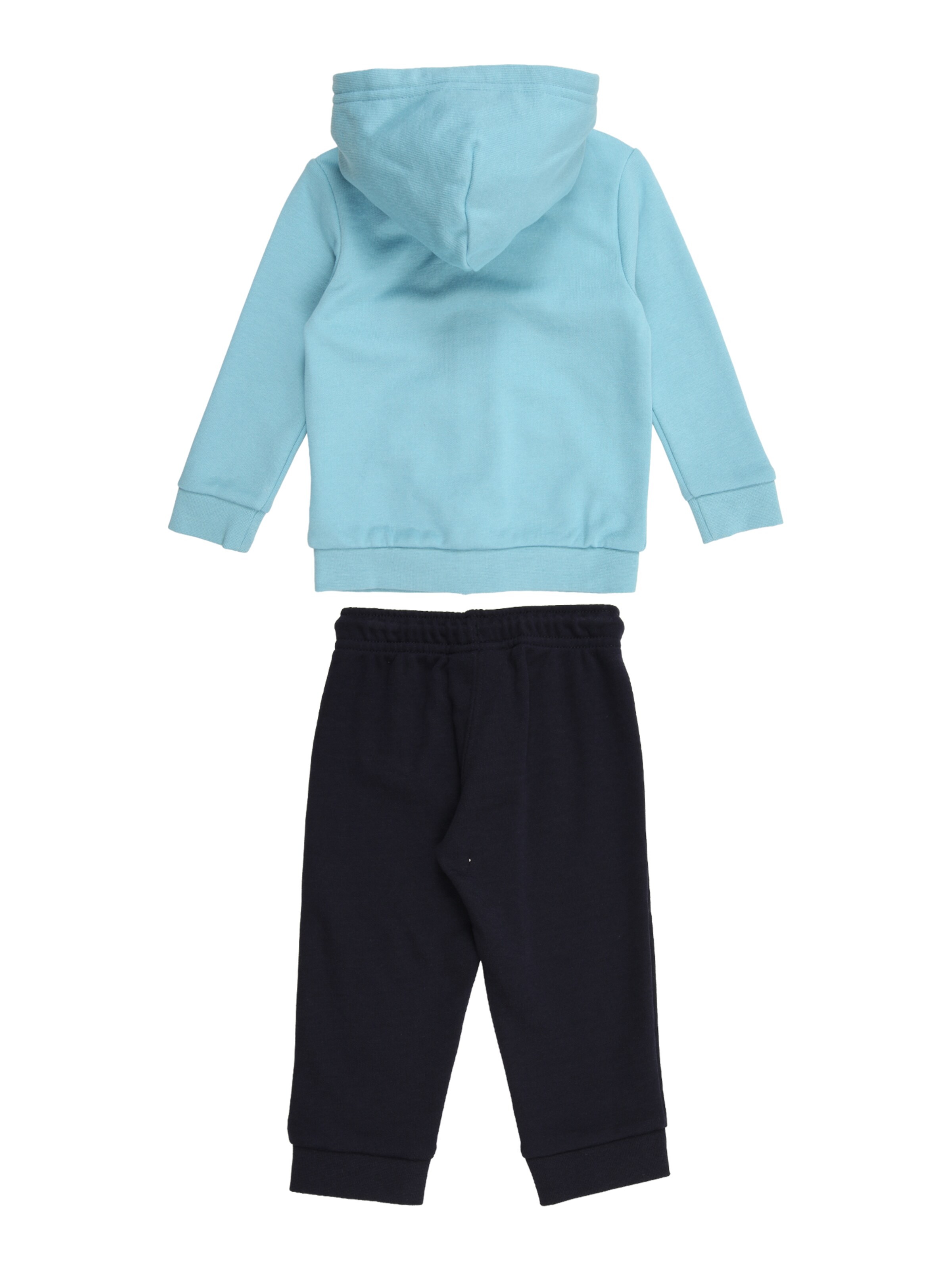 mėlyna Champion Authentic Athletic Apparel Treningas