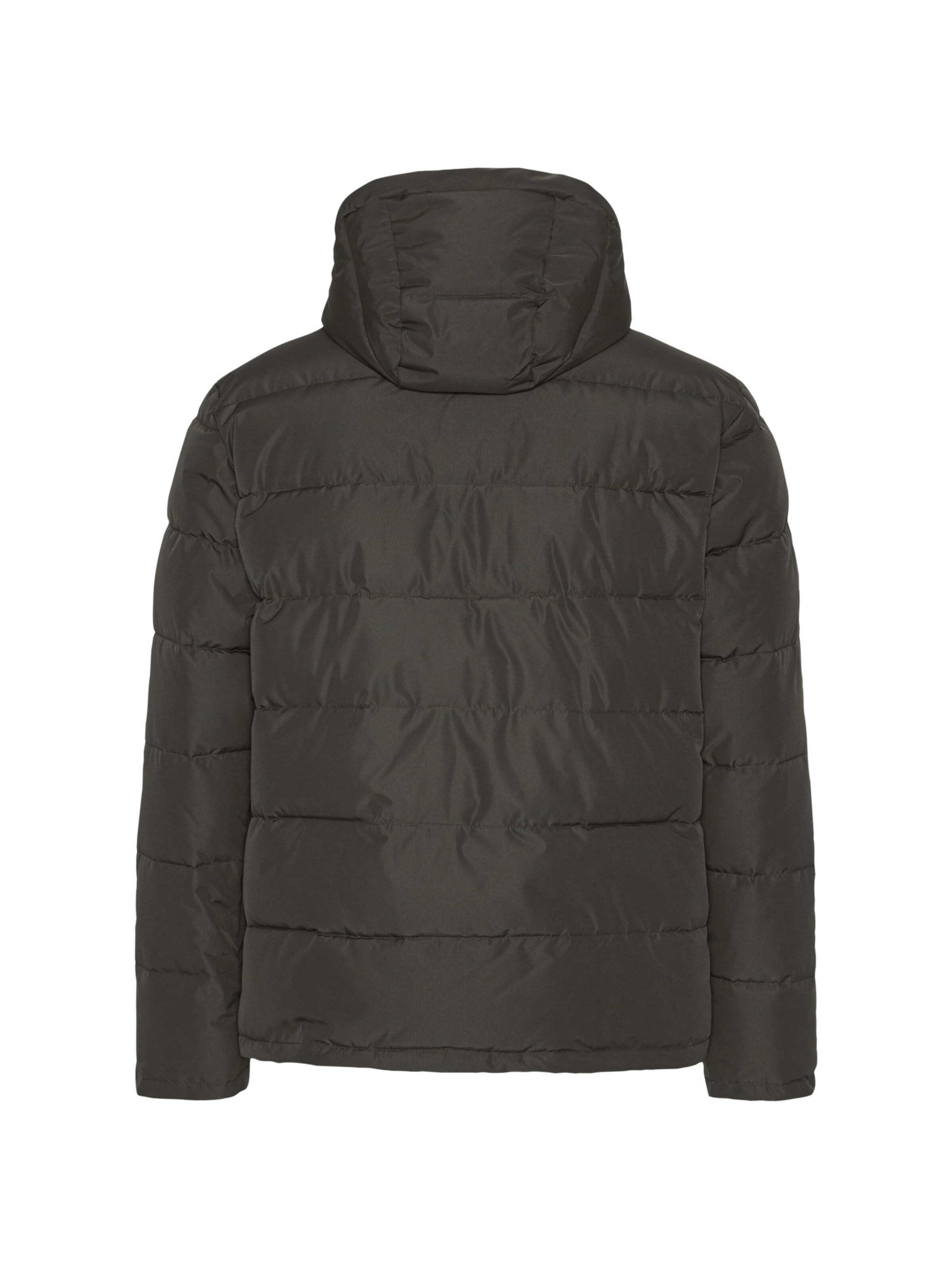 Fat Moose Winterjacke 'Liam' in Grün