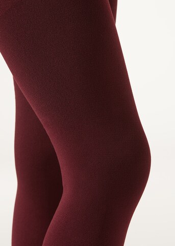CALZEDONIA Strumpfhose 'THERMO' in Rot