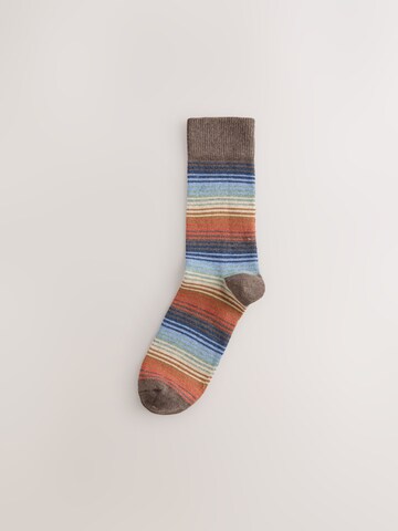 Next Socks in Mixed colours
