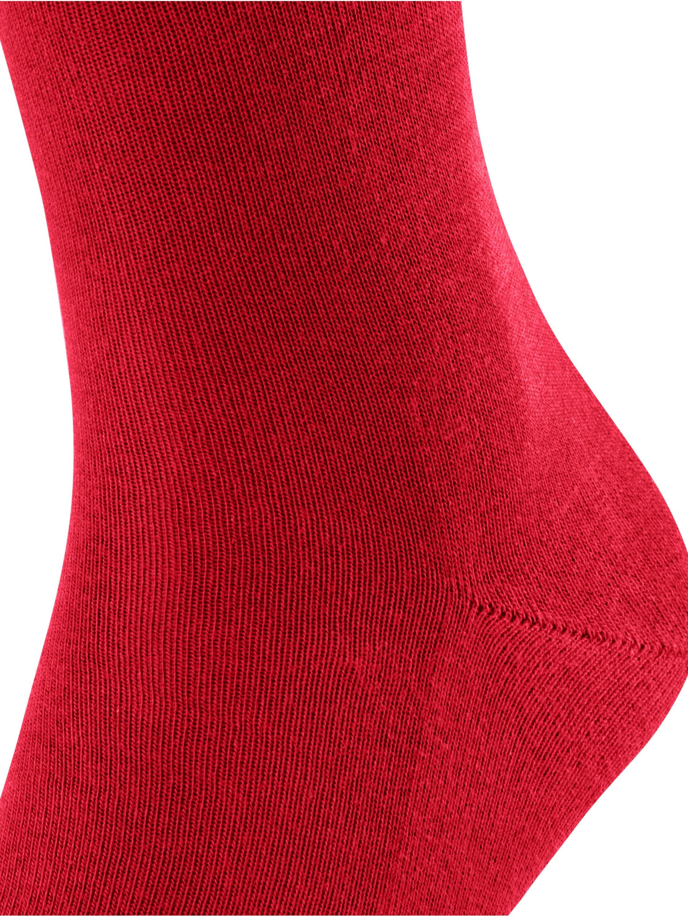 FALKE Socks 'Family' in Red