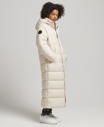 Superdry Winter Coat in Beige