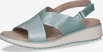 CAPRICE Sandals in Blue: front