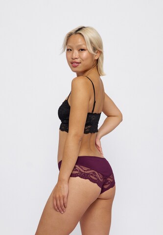 SNOCKS Boyshorts 'Spitze' in Purple