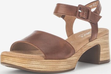 GABOR Sandals in Brown: front