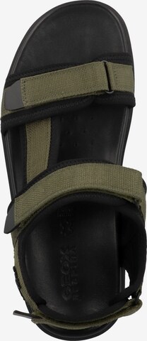 GEOX Hiking Sandals 'Xand 2S' in Green