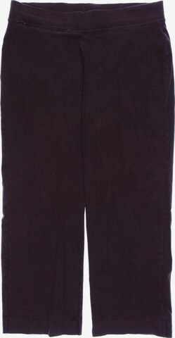 Lands‘ End Pants in M in Brown: front