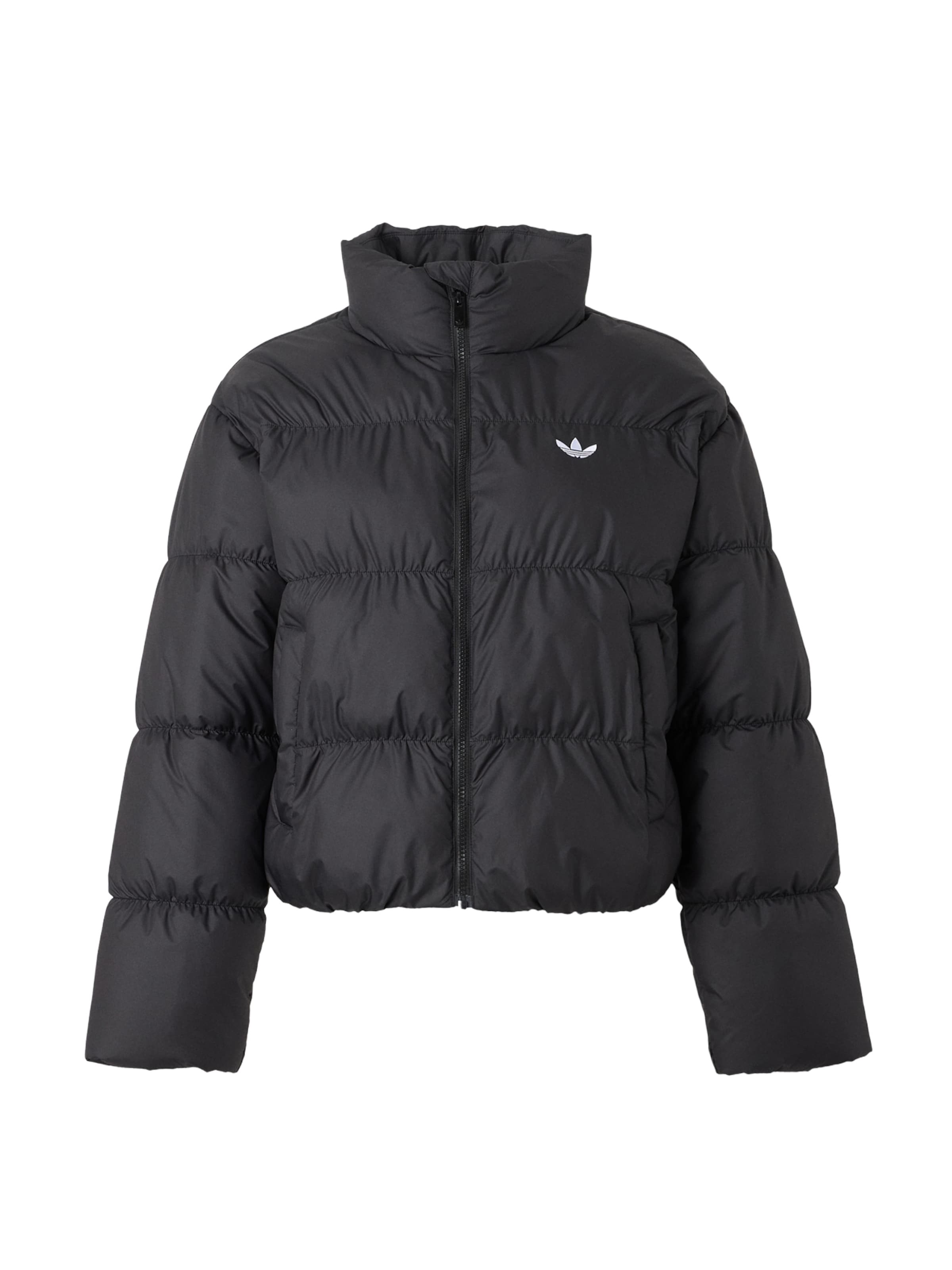 Veste d’hiver ADIDAS ORIGINALS en noir : devant