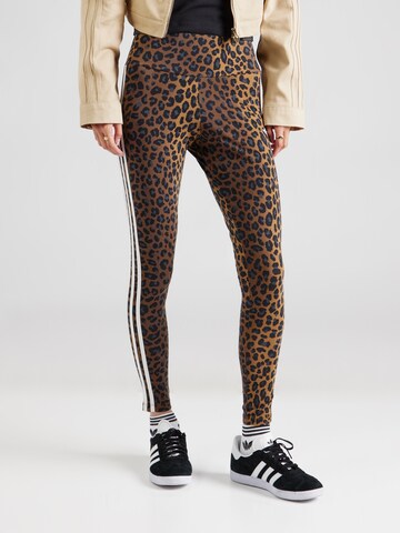 ADIDAS ORIGINALS Skinny Leggings i brun: forside