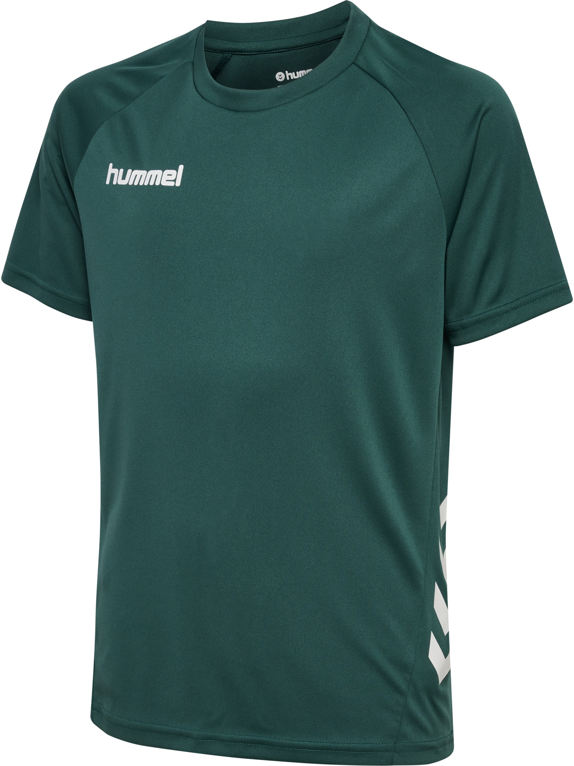 Hummel Trainingspak 'Promo' in Groen