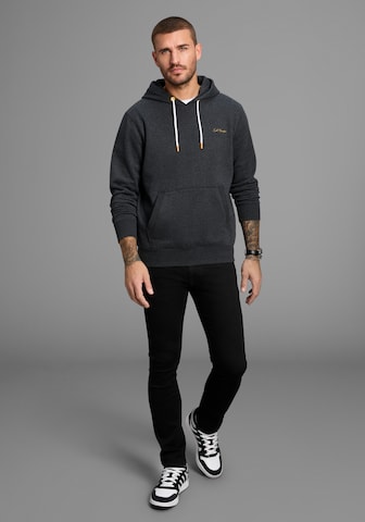 DELMAO Sweatshirt in Grey