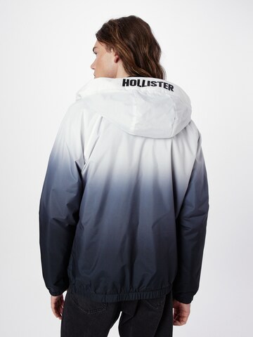 Veste mi-saison HOLLISTER en bleu