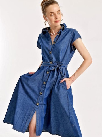 Bigdart Särkkleit, värv sinine