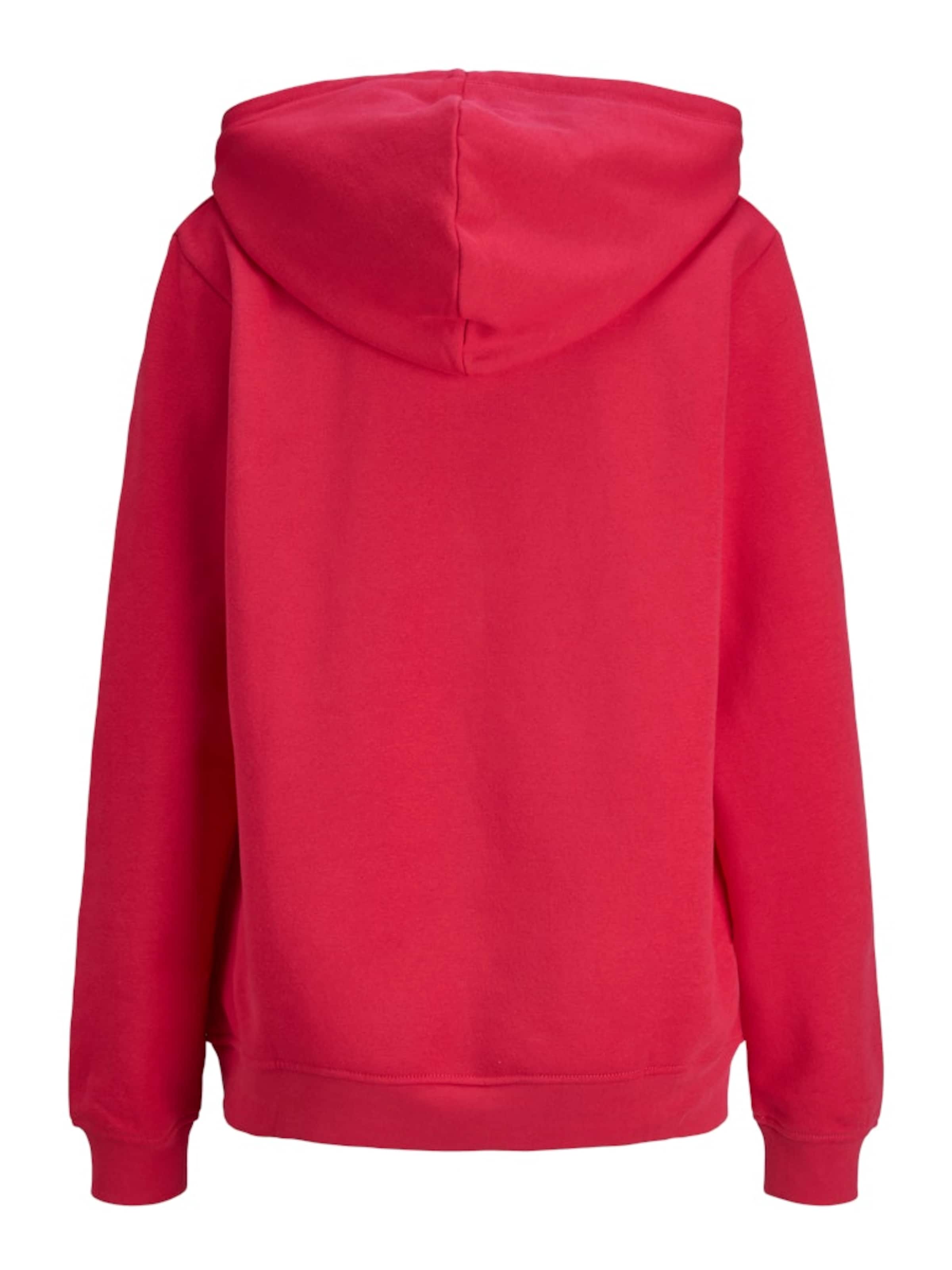 JJXX Sweatshirt 'JXABBIE' in Pink