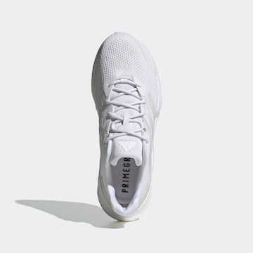 Baskets basses ADIDAS SPORTSWEAR en blanc