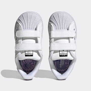 ADIDAS ORIGINALS Sneakers in Wit