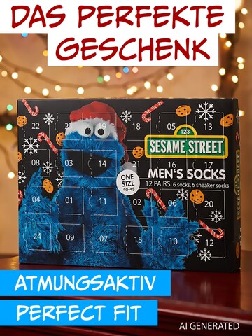 SESAMSTRASSE Socken 'Adventskalender mit 12 Paar'‌‌‌ in Mischfarben