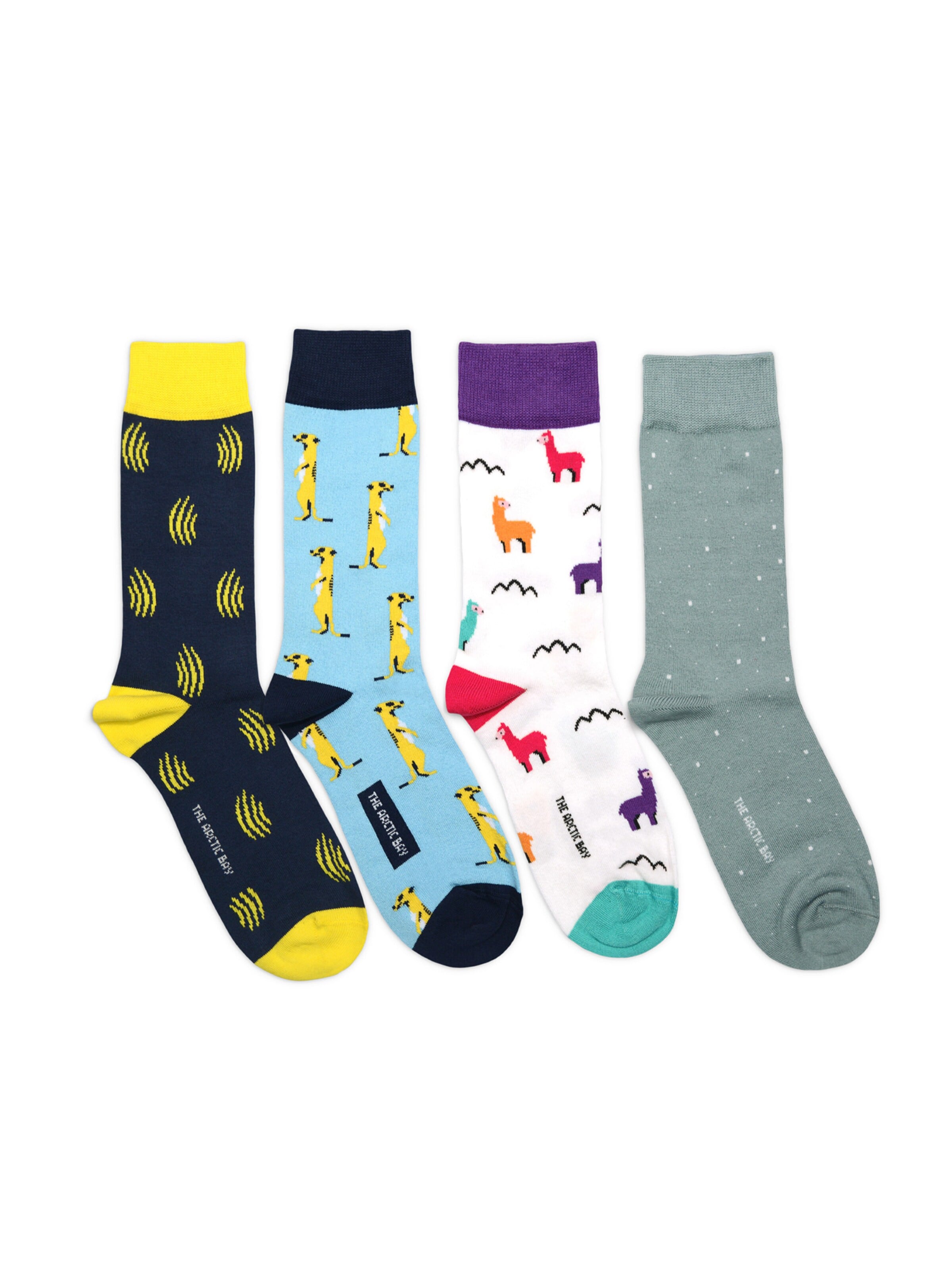 The Arctic Bay - Calcetines 'ORUN EDITION Gift box 4 Pack Unisex' en Mezcla de colores: frente